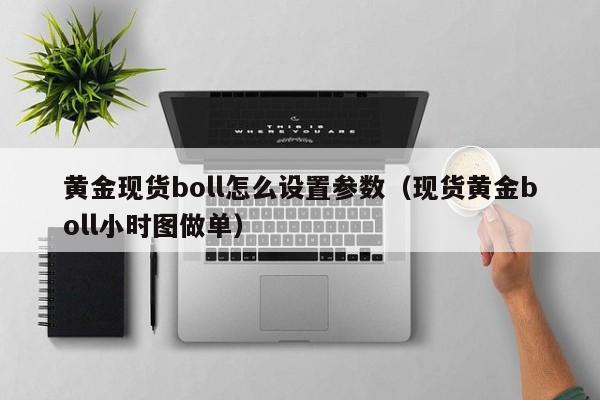 黄金现货boll怎么设置参数（现货黄金boll小时图做单）