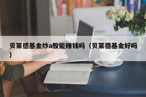 贝莱德基金炒a股能赚钱吗（贝莱德基金好吗）