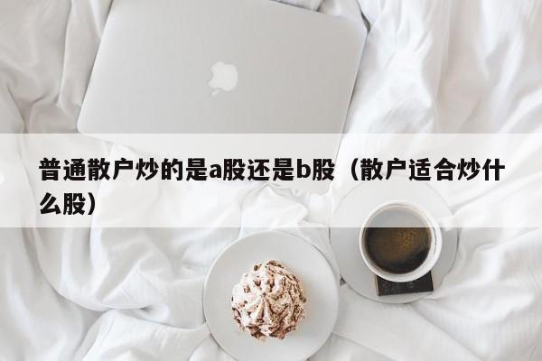 普通散户炒的是a股还是b股（散户适合炒什么股）