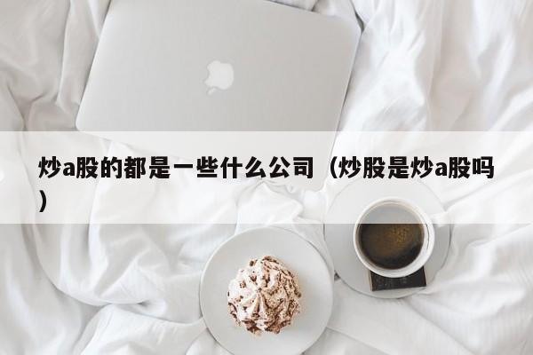 炒a股的都是一些什么公司（炒股是炒a股吗）